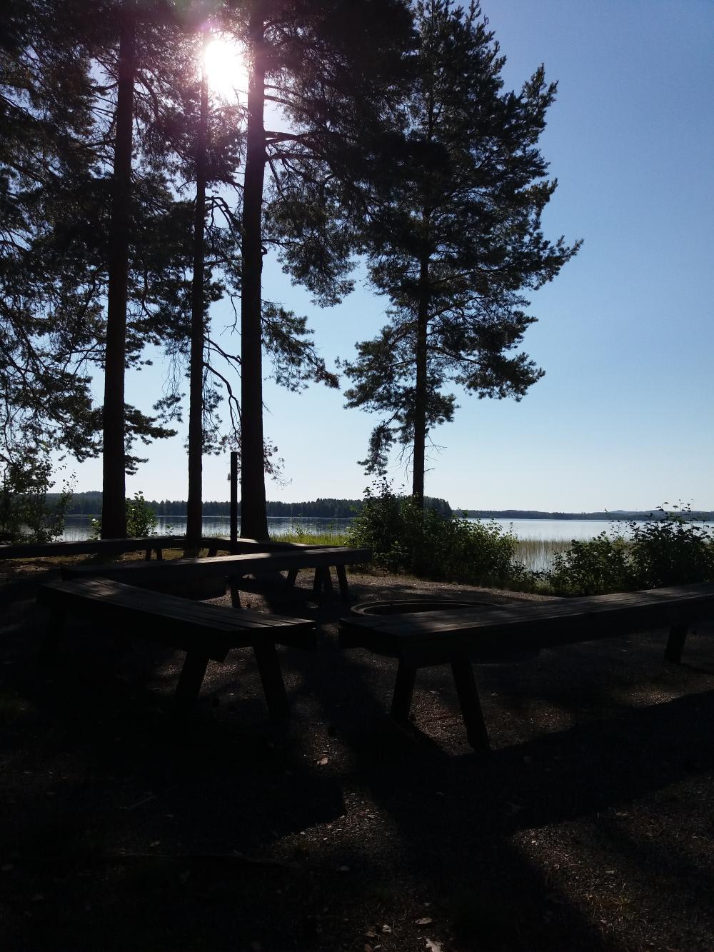 Kuva Seurakunnan leirikeskuksesta Saunaniemestä. Kuvassa kaunis järvimaisema, mäntyjä ja nuotiopaikka.