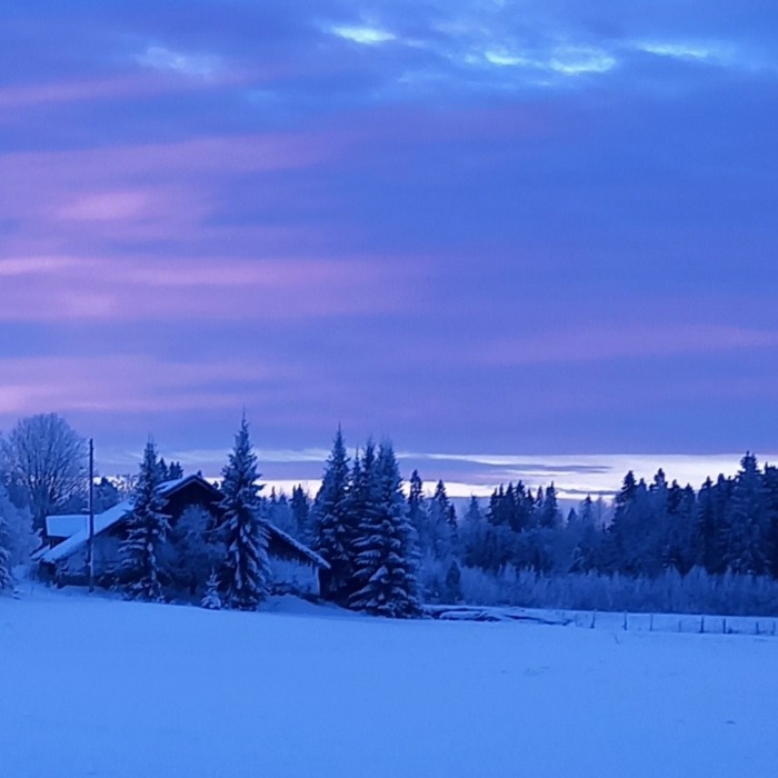 Kuvassa sinisävyinen talvinen maisema. Vanha rakennus, puita, peltoa ja lunta.